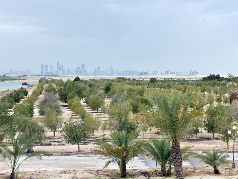 مشروع "جزيرة جبيل" في أبوظبي... وجهة فاخرة بتكلفة 5 مليارات درهم